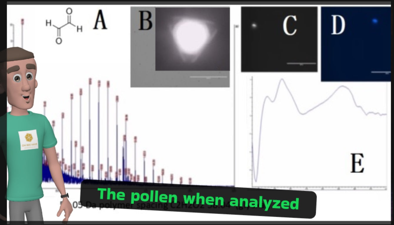 10x MEL-RJPI concentrate (Distributor and Formulator only) White Label ingredient