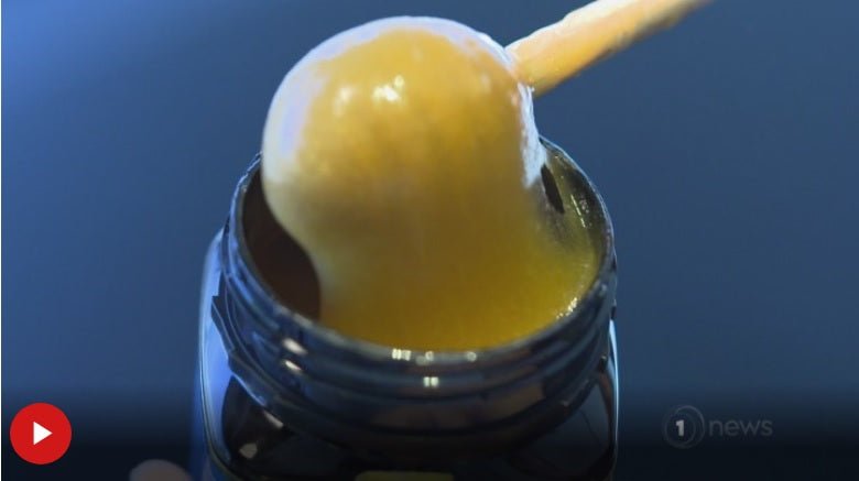 Oxford University study on honeys antibacterial and antiviral properties - OH BEE HAVE