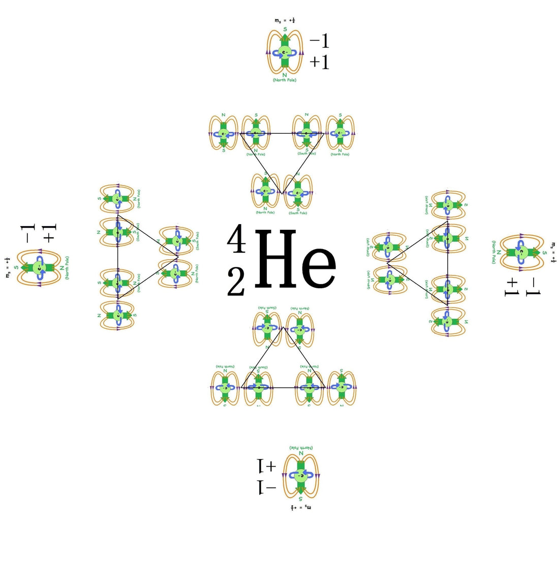 The physics of the human being - Quantum biology - OH BEE HAVE